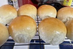 67721050384__1CCC60A4-DAEF-496B-9E73-31DB04EF90D1.fullsizerender