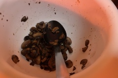 63186101135__379AB862-5226-4FE4-A335-91A4554F8652.fullsizerender